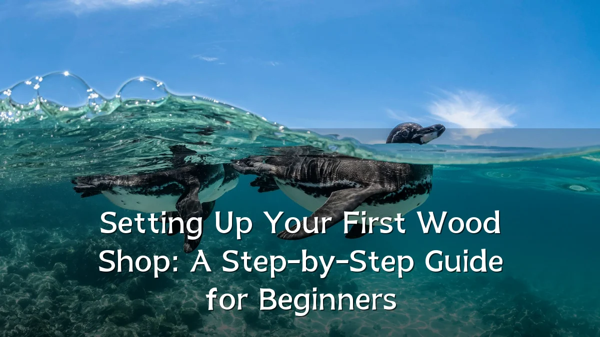 Setting Up Your First Wood Shop: A Step-by-Step Guide for Beginners