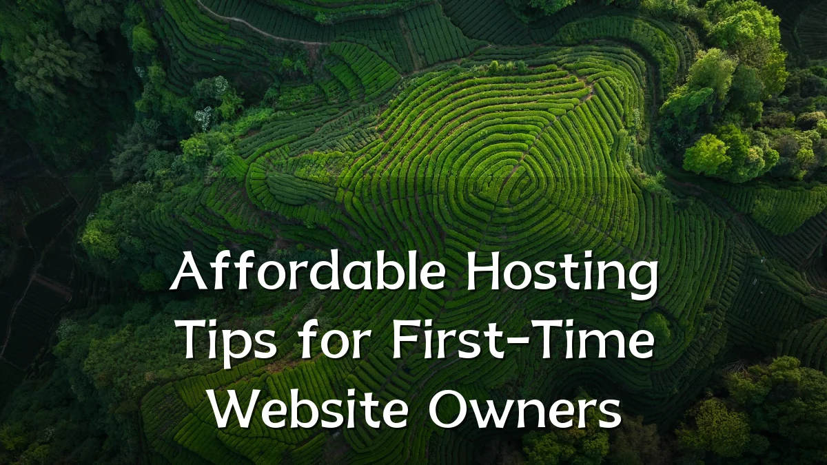 Affordable Hosting Tips for First-Time Website Owners