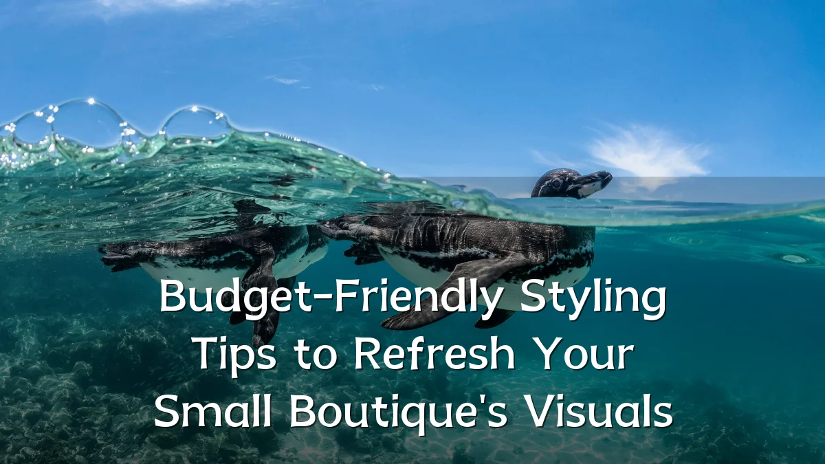 Budget-Friendly Styling Tips to Refresh Your Small Boutique's Visuals