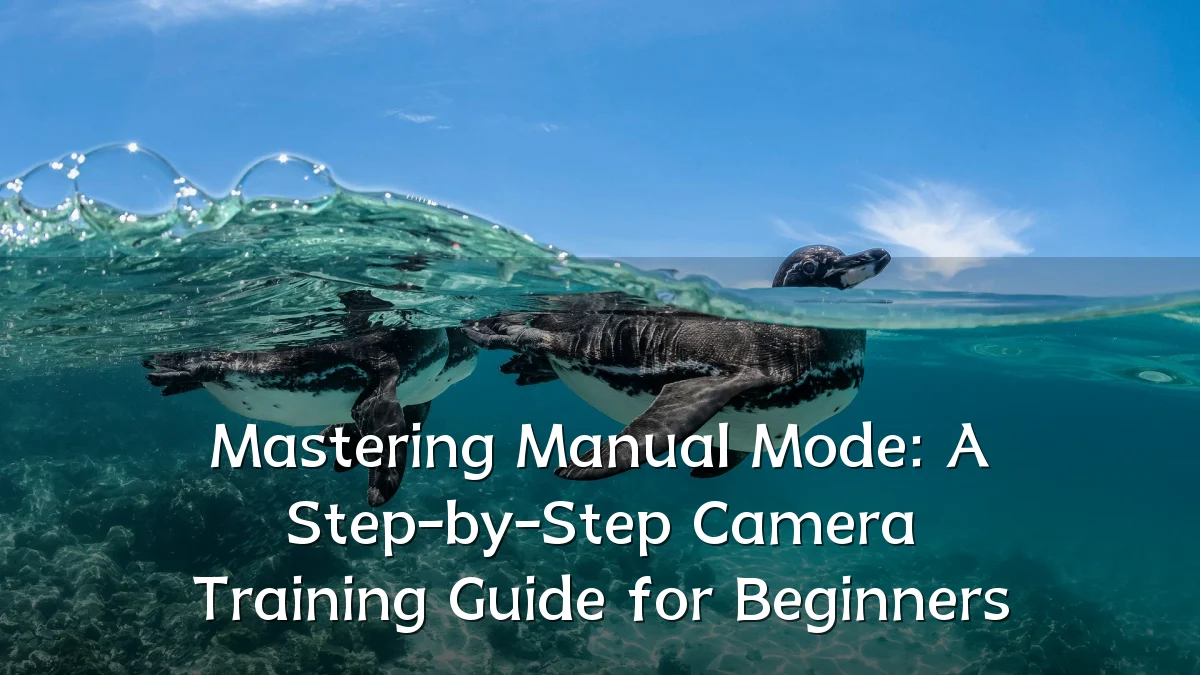 Mastering Manual Mode: A Step-by-Step Camera Training Guide for Beginners