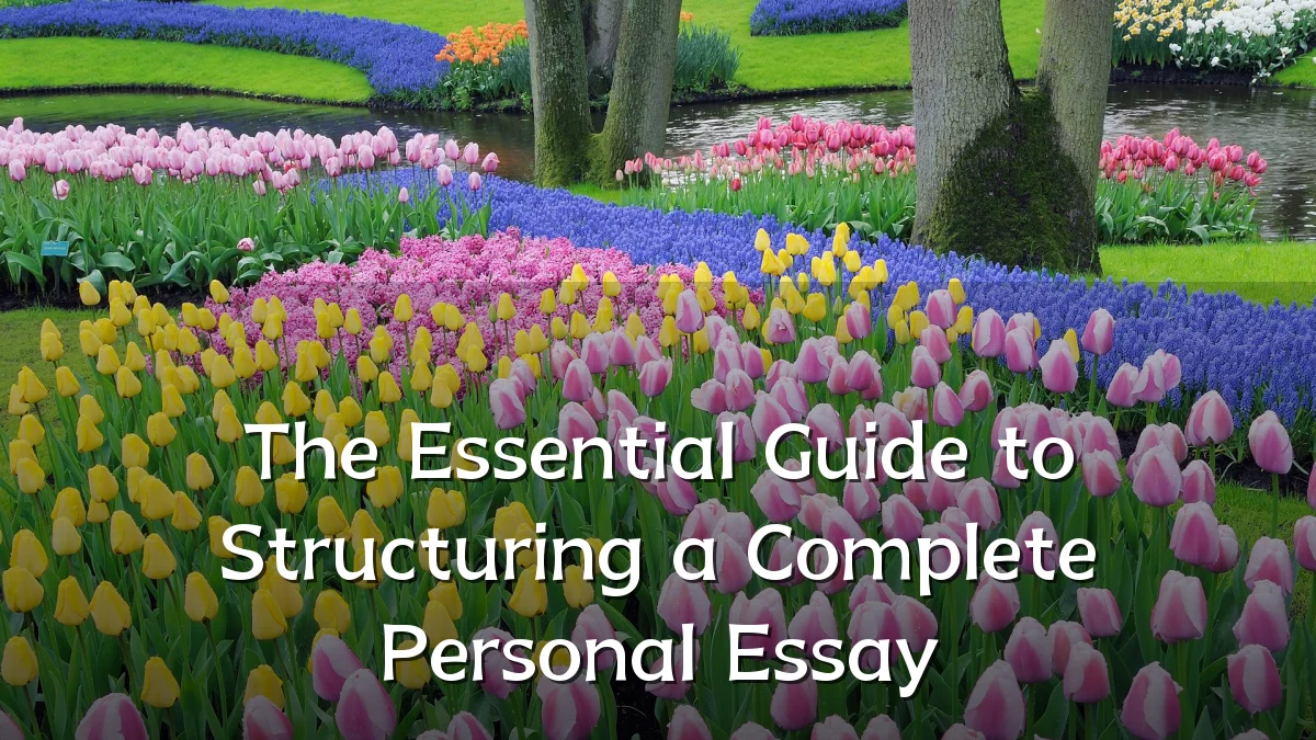 The Essential Guide to Structuring a Complete Personal Essay
