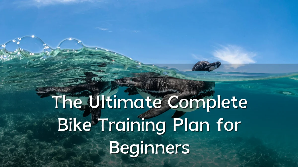 The Ultimate Complete Bike Training Plan for Beginners