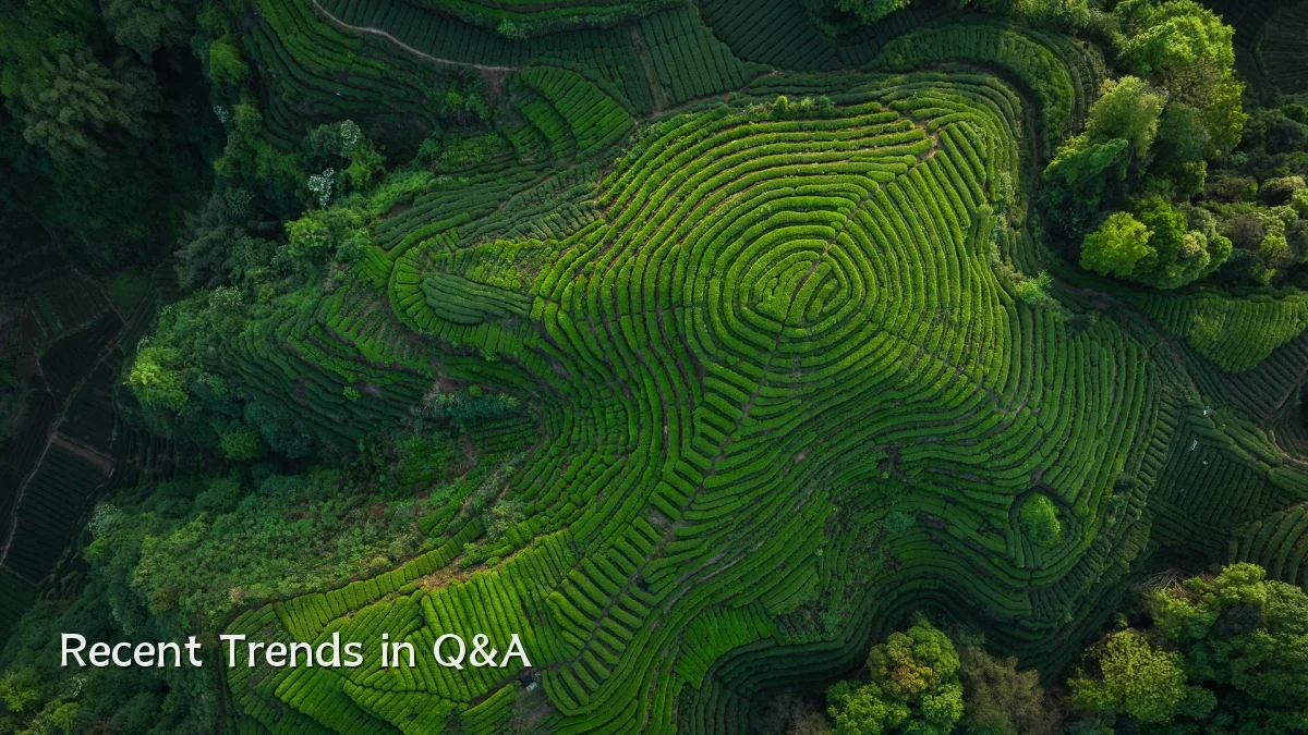 Recent Trends in Q&A