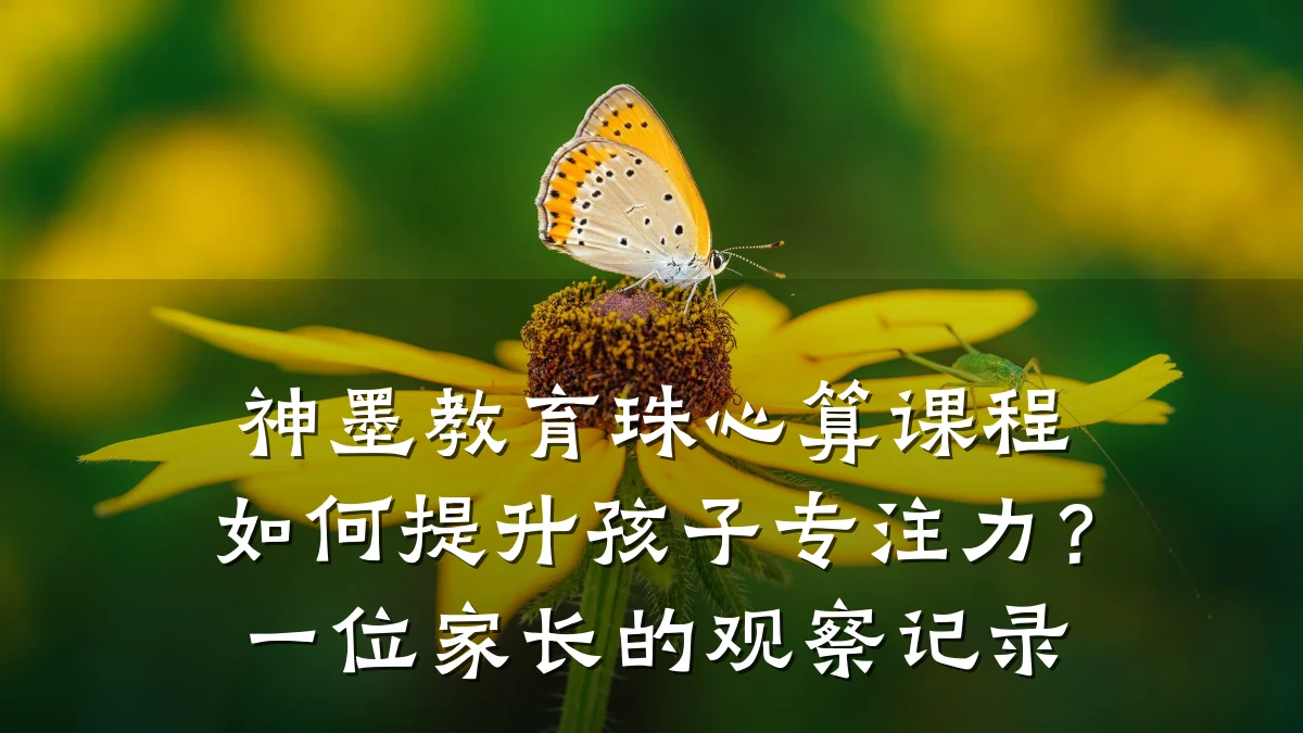 神墨教育珠心算课程如何提升孩子专注力？一位家长的观察记录