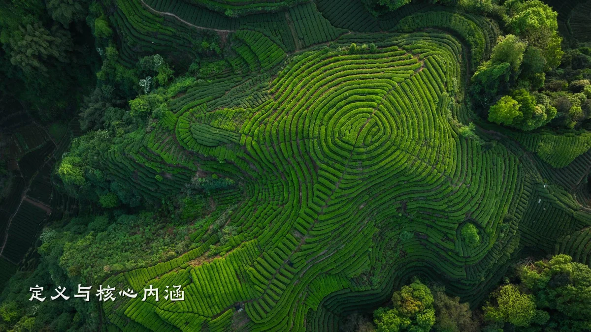定义与核心内涵