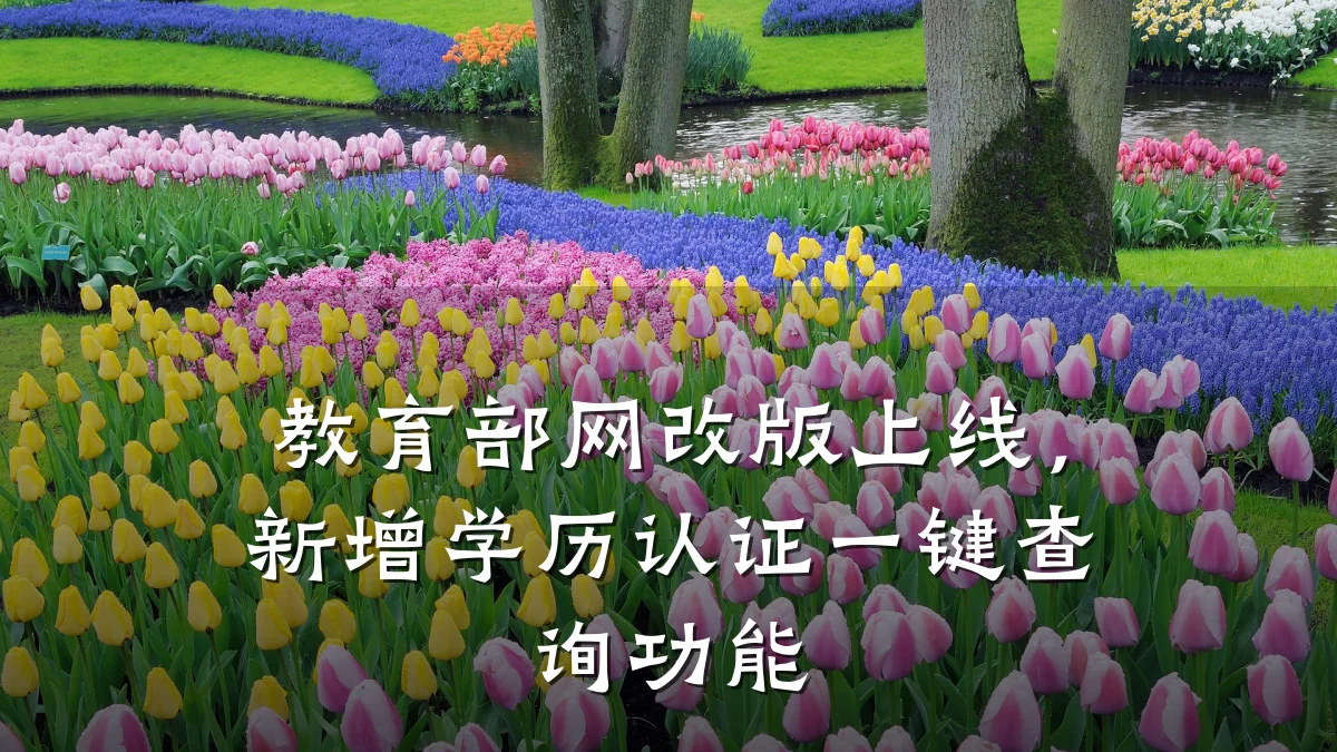 教育部网改版上线，新增学历认证一键查询功能