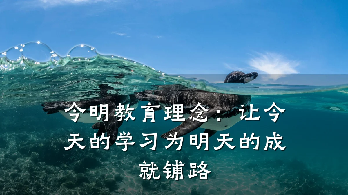 今明教育理念：让今天的学习为明天的成就铺路