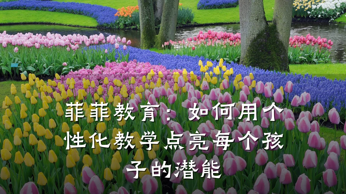 菲菲教育：如何用个性化教学点亮每个孩子的潜能
