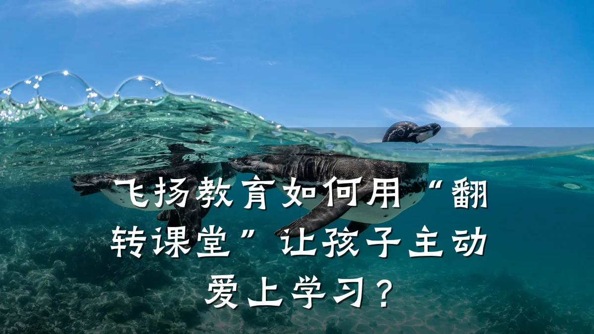 飞扬教育如何用“翻转课堂”让孩子主动爱上学习？