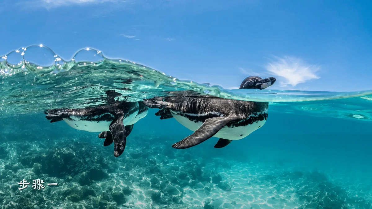 步骤一
