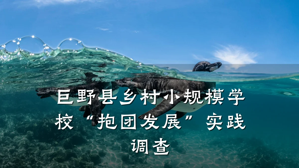 巨野县乡村小规模学校“抱团发展”实践调查