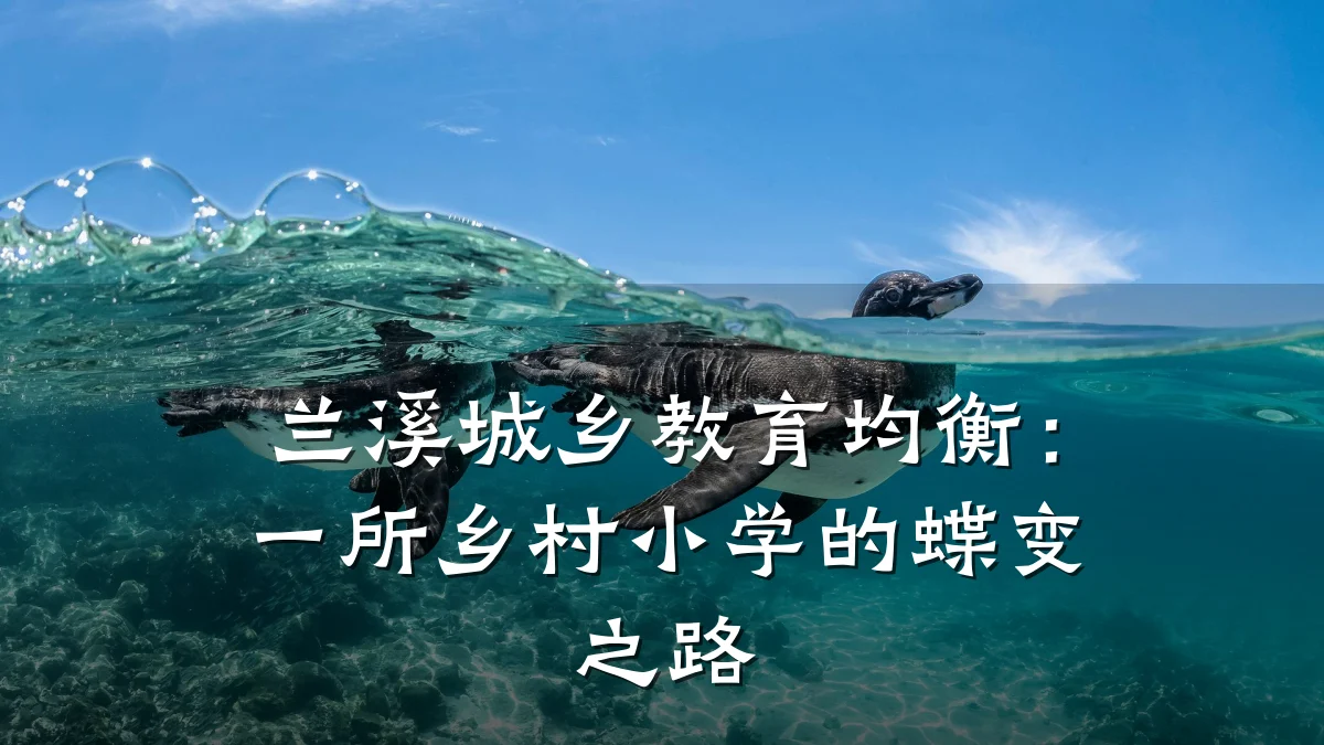 兰溪城乡教育均衡：一所乡村小学的蝶变之路