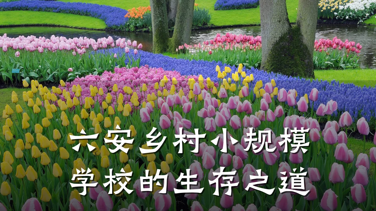 六安乡村小规模学校的生存之道