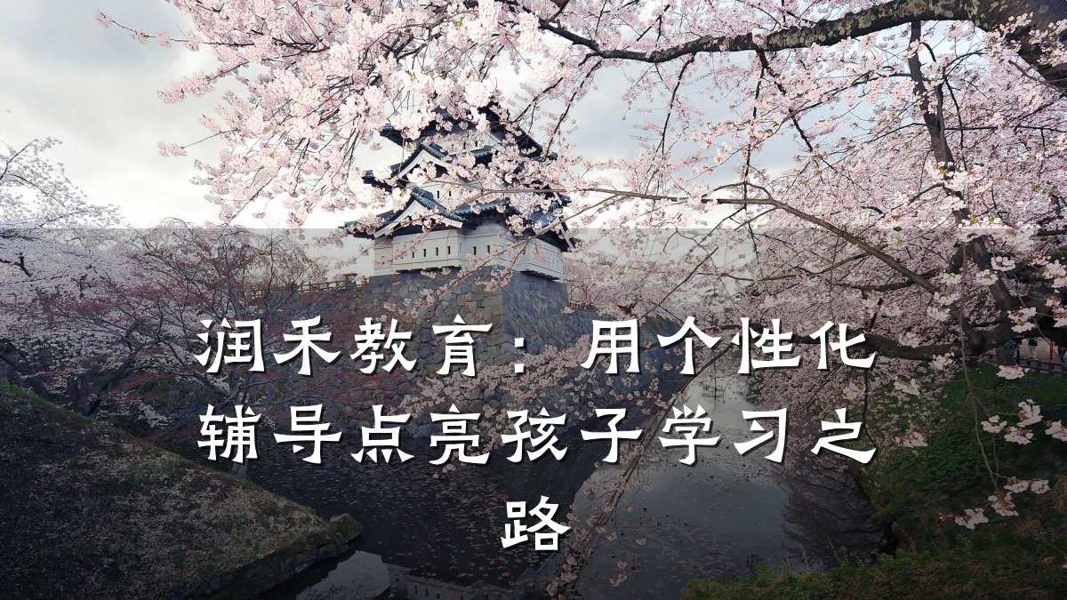 润禾教育：用个性化辅导点亮孩子学习之路