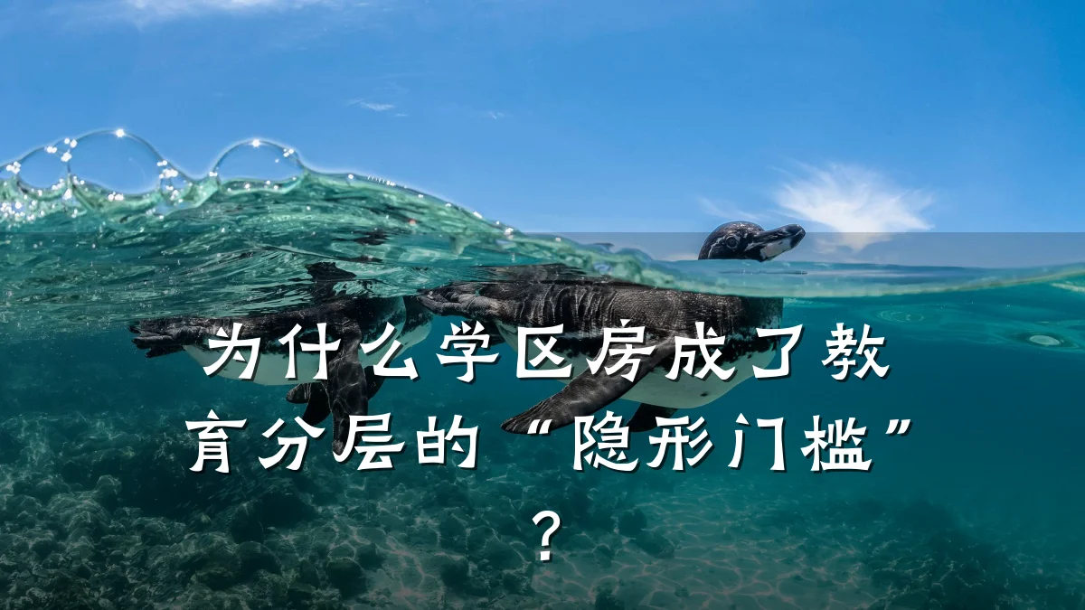 为什么学区房成了教育分层的“隐形门槛”？