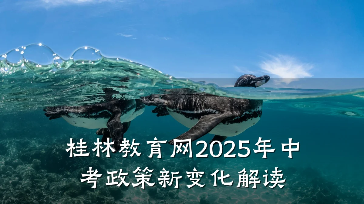 桂林教育网2025年中考政策新变化解读