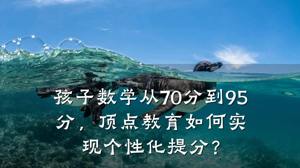 孩子数学从70分到95分，顶点教育如何实现个性化提分？