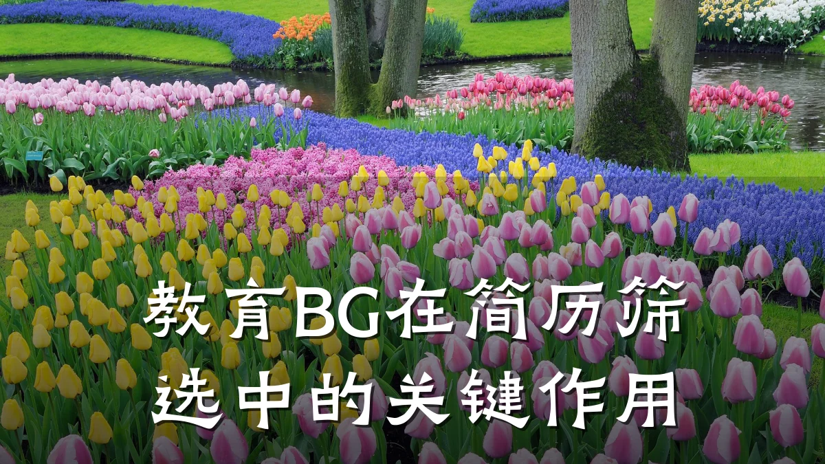 教育BG在简历筛选中的关键作用