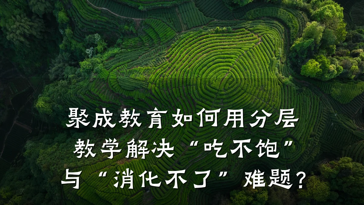 聚成教育如何用分层教学解决“吃不饱”与“消化不了”难题？