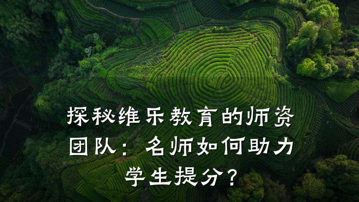 探秘维乐教育的师资团队：名师如何助力学生提分？