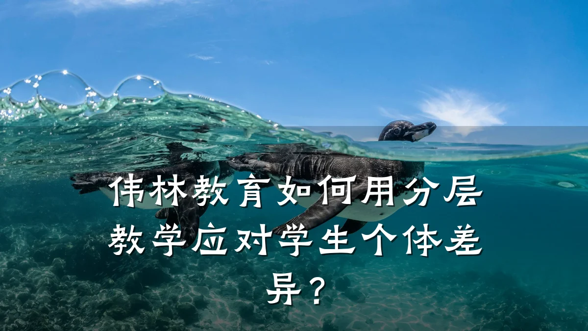 伟林教育如何用分层教学应对学生个体差异？