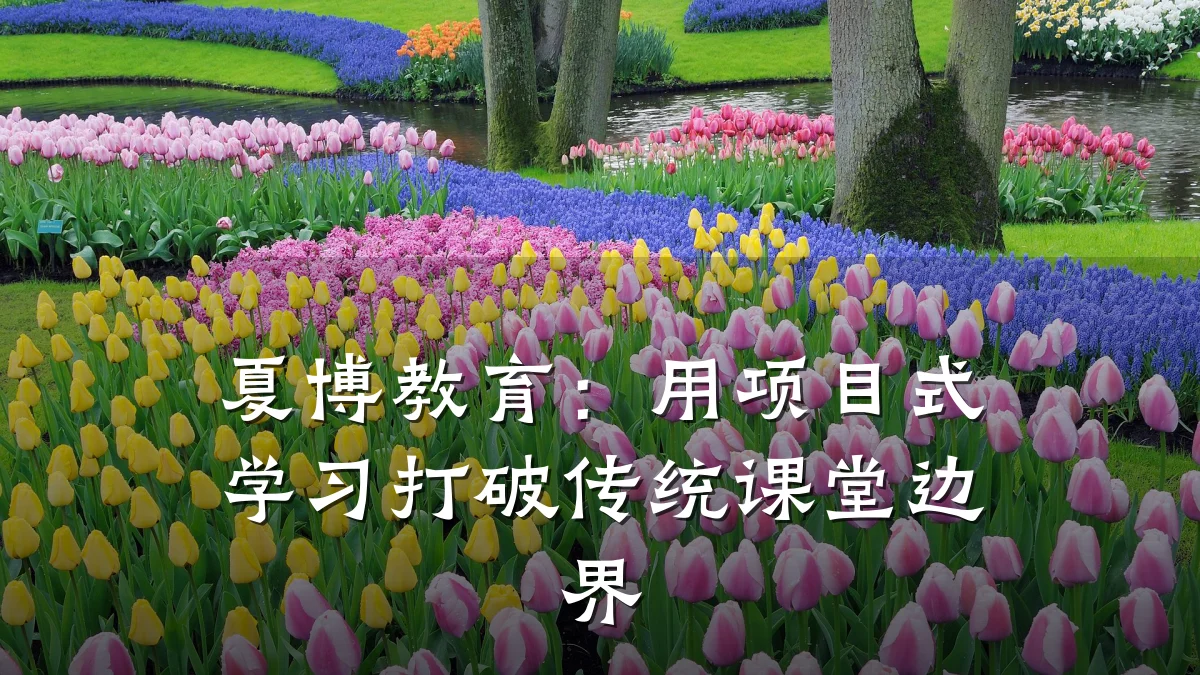 夏博教育：用项目式学习打破传统课堂边界