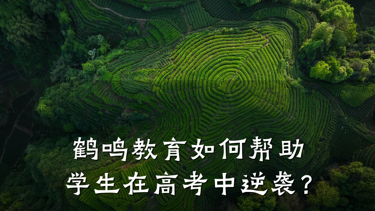 鹤鸣教育如何帮助学生在高考中逆袭？